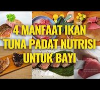 Tongkol Tuna Untuk Ibu Hamil Ikan Nila